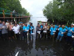 Cara PT Vale Peringati Hari Mangrove Sedunia