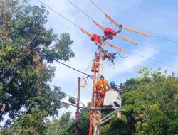 PLN Imbau Masyarakat Jaga Jarak Aman Pasang Bendera dan Umbul-umbul dari Jaringan Listrik Sambut Kemerdekaan RI