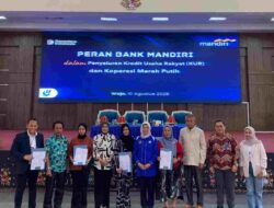 AKA Edukasi Pentingnya Asuransi Mandiri Mikro Sejahtera di Wajo, Simak Manfaatnya