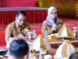 Bupati Gowa Husniah Inisiasi Lanjutkan Pembangunan Replika Istana Balla Lompoa di Afrika Selatan