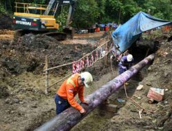 Semangat Kebersamaan dan Kepercayaan PT Vale dan Masyarakat Towuti Kolaborasi Pulih Bersama