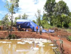 Terungkap, Ini Hasil Uji Air Towuti Diumumkan, PT Vale Hormati Transparansi dan Tegaskan Komitmen Pemulihan Berkelanjutan