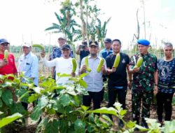 Launching Kebun MBG Terintegrasi di Bone, Pesan Gubernur Andi Sudirman: SPPG Wajib Serap Pangan Lokal