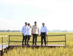 Mentan Andi Amran Ungkap Presiden Prabowo Antar Indonesia Punya Stok Beras Tertinggi Sepanjang Sejarah