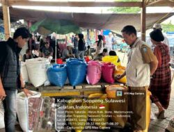 Temuan Satgas Pangan Polres Soppeng Cek Harga Beras di Pasar Tradisional