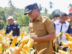 Bupati Bone Andi Asman Ungkap Kunci Kendalikan Inflasi di Sulsel
