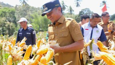 Bupati Bone Andi Asman Ungkap Kunci Kendalikan Inflasi di Sulsel