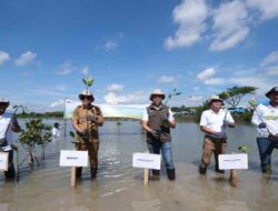 PLN Group Sulawesi Selatan Tanam 10.150 Pohon di Jeneponto, Komitmen Energi Bersih