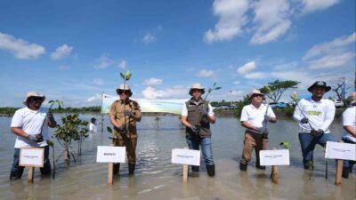 PLN Group Sulawesi Selatan Tanam 10.150 Pohon di Jeneponto, Komitmen Energi Bersih