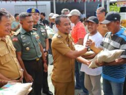 Bupati Andi Asman Lepas Mandiri Benih untuk Kelompok Tani, Genjot Produktivitas Pertanian Bone