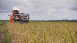 Akademisi Universitas Andalas Analisis Transformasi Kebijakan ala Mentan Andi Amran