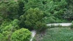 Bantuan Keuangan Pemprov Sulsel Percepat Perbaikan Dua Ruas Jalan di Enrekang