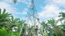 Indosat Raup Laba Bersih, Catat Pertumbuhan Double-Digit Cerminan Bisnis Berkelanjutan