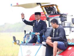 Bupati Andi Asman Panen Raya di Cenrana Bone, Pacu Swasembada Pangan Berkelanjutan