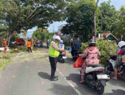 Hari Ke-13 Ops Keselamatan, Satlantas Polres Bone Kolaborasi BPBD Pangkas Pohon Membahayakan