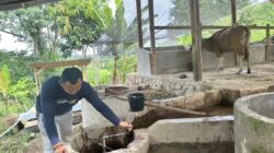 Limbah Jadi Berkah di Sinjai, Program Biogas PLN Peduli Wujudkan Harapan dan Energi Bersih
