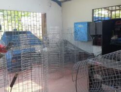 Poltekbos Produksi 30 Tempat Sampah Unik untuk Makassar