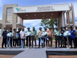 Komitmen Pertambangan Berkelanjutan, PT Vale Luncurkan Nursery IGP Pomalaa