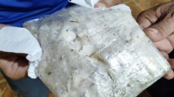 Paket Kokain Kembali Ditemukan Warga di Tile-tile, Polres Selayar Ajak Warga Lakukan Pencarian