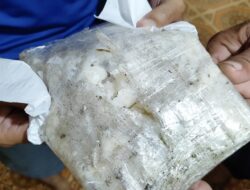 Paket Kokain Kembali Ditemukan Warga di Tile-tile, Polres Selayar Ajak Warga Lakukan Pencarian