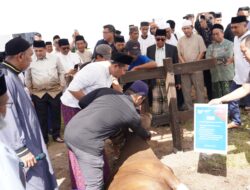 Sambut Idul Adha, Bosowa Peduli Luncurkan “Keberkahan Qurban”, Target 130 Sapi