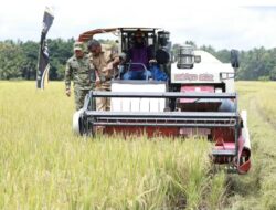 Bupati Andi Utta Panen Raya di Bontoharu Bulukumba, Dorong Modernisasi Pertanian