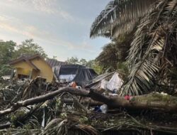 Pohon Tumbang Renggut Nyawa Ibunda Pengantin di Pesta Pernikahan Desa Lalepo Bone