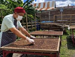 Peran PLN Angkat UMKM Selayar: “To Riolo”, Terasi Lokal yang Tembus Pasar Modern