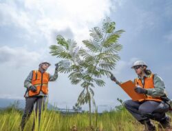PT Vale Catatkan Kinerja Keuangan Solid di Triwulan I 2026: Fondasi Pertumbuhan Jangka Panjang Kian Kuat