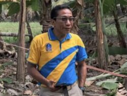 Barebbo Bisa Jadi “City Farming” Bone, Konsep Kota Pertanian Terintegrasi Mulai Mengemuka