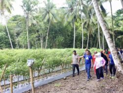 Akhir Pekan Produktif, BupAAS Jalan Santai hingga Sambangi Kebun Cabai Warga untuk Tekan Inflasi