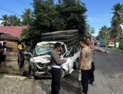 Mobil Pikap Muatan Ayam Oleng dan Tabrak Dua Kendaraan di Tellu Siattinge, Sopir Terjepit Dievakuasi Warga