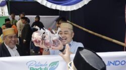 Pelindo Regional 4 Tebar Berkah Iduladha, 35 Ekor Sapi Kurban Disalurkan Serentak di Seluruh Wilayah Kerja