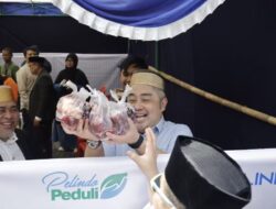 Pelindo Regional 4 Tebar Berkah Iduladha, 35 Ekor Sapi Kurban Disalurkan Serentak di Seluruh Wilayah Kerja
