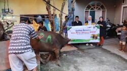 Asmo Sulsel Tebar Kepedulian Iduladha, Salurkan Sapi Kurban untuk Warga Mangasa