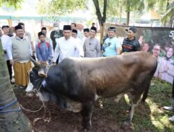 Stok Hewan Kurban Nasional Surplus 800 Ribu Ekor, Wamentan: Bukti Ekonomi dan Peternakan Indonesia Tetap Kuat