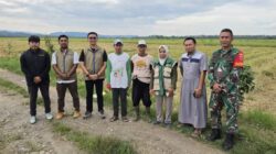 BULOG Pecahkan Rekor! Serapan Gabah-Beras Tembus 3 Juta Ton, Bone Sumbang 81 Ribu Ton untuk Ketahanan Pangan Nasional