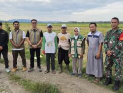 BULOG Pecahkan Rekor! Serapan Gabah-Beras Tembus 3 Juta Ton, Bone Sumbang 81 Ribu Ton untuk Ketahanan Pangan Nasional