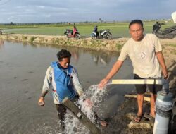 Pompa Listrik Dongkrak Panen, Peternakan Hemat Rp180 Juta per Bulan: PLN Percepat Modernisasi Pertanian di Sidrap