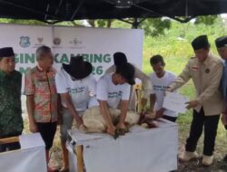 129 Kambing DAM Jamaah Haji Bulukumba Disembelih, BAZNAS Salurkan Berkah untuk Santri dan Panti Asuhan