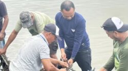 Di Bawah Gerimis, Camat Andi Habibie Memungut Sampah Bersama Warga: Ketika Kepedulian Menjadi Teladan di Kampung Bajo