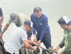 Di Bawah Gerimis, Camat Andi Habibie Memungut Sampah Bersama Warga: Ketika Kepedulian Menjadi Teladan di Kampung Bajo