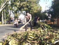 Sambut Hari Bhayangkara ke-80, Satlantas Polres Bone Bersihkan Pohon Rawan di Jalan Yos Sudarso Demi Keselamatan Pengendara
