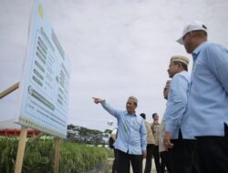 Mentan Andi Amran Yakin PM-AAS Revolusi Pertanian Indonesia, Produktivitas Padi Ditarget Tembus 12,4 Ton per Hektare
