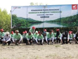 AHM Tanam 15 Ribu Mangrove di Karawang, Perkuat Ekowisata Tambaksari sebagai Destinasi Konservasi dan Penggerak Ekonomi