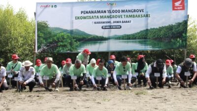 AHM Tanam 15 Ribu Mangrove di Karawang, Perkuat Ekowisata Tambaksari sebagai Destinasi Konservasi dan Penggerak Ekonomi