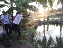 Panen Ikan untuk MBG, BupAAS Tebar Jaring di Cenrana dan Dorong Potensi Lokal Penuhi Gizi Anak Bangsa