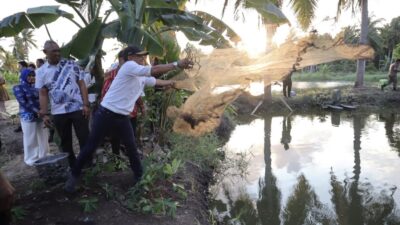 Panen Ikan untuk MBG, BupAAS Tebar Jaring di Cenrana dan Dorong Potensi Lokal Penuhi Gizi Anak Bangsa