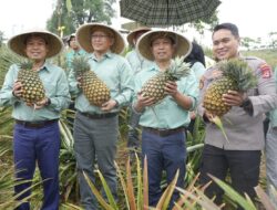 PT Vale Cetak 50 Duta Lingkungan Muda di Luwu Timur, Luncurkan Kelas Konservasi