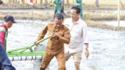 BupAAS Tancap Gas Modernisasi Pertanian, Pimpin Gerakan Tanam Serempak PM AAS di Ajangale